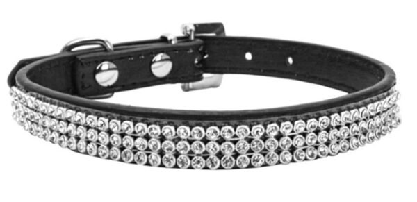 Pet Supplies Collar Diamond Rhinestone Buckle Dog Collar