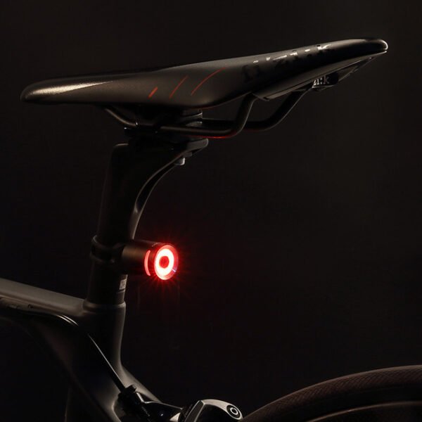 Bicycle taillight warning light