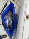 Waterproof And Fresh-keeping Bag For Sea Fishing Incubator